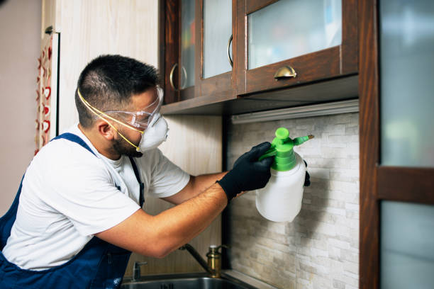 Best Commercial Pest Control Services  in Jupiter, FL