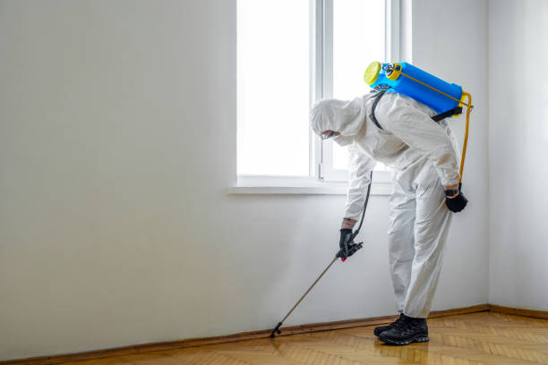 Best Pest Removal Services  in Jupiter, FL